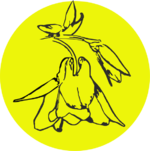 Чубушник (Жасмин)